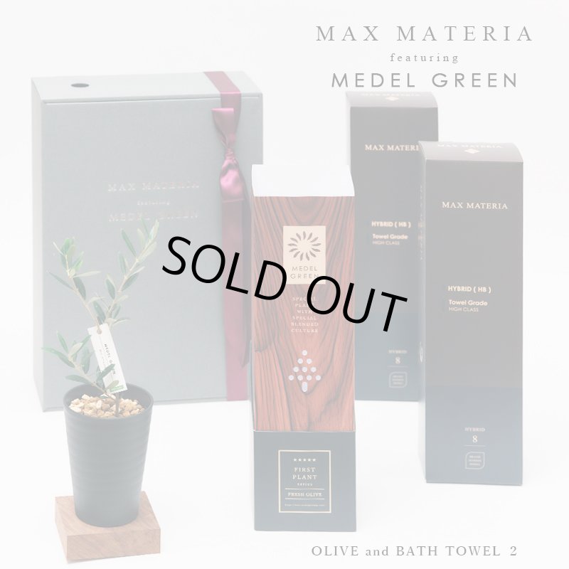 画像6: ◆ 最新作 ◆「 繁栄の象徴シリーズ 」 MAX MATERIA feat MEDEL GREEN　◆バス２P＆オリーブ若木 ◆ デザイン黒樹脂鉢＆ギフトBOX入り　オリーブ：底から葉先まで約25〜40cm前後に剪定済 (6)