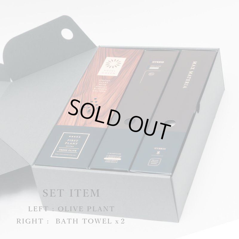 画像8: ◆ 最新作 ◆「 繁栄の象徴シリーズ 」 MAX MATERIA feat MEDEL GREEN　◆バス２P＆オリーブ若木 ◆ デザイン黒樹脂鉢＆ギフトBOX入り　オリーブ：底から葉先まで約25〜40cm前後に剪定済 (8)