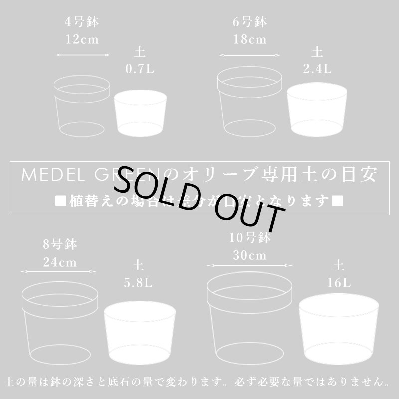 画像9: MEDEL GREEN　◆ オリーブ苗木専用　ベストミックスソイル　１L (9)