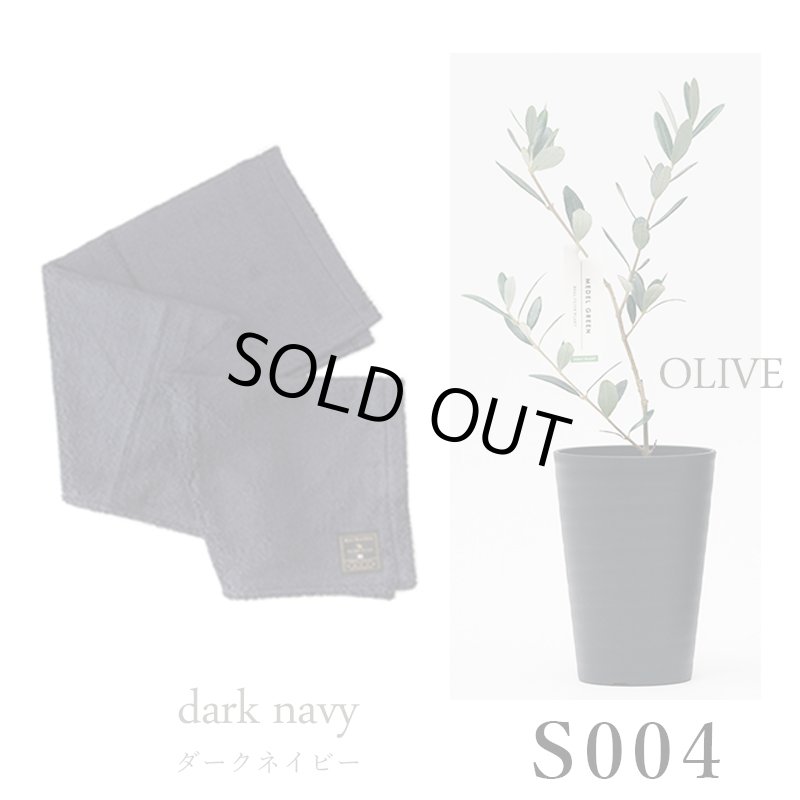 画像29: ◆ 最新作 ◆「 繁栄の象徴シリーズ 」 MAX MATERIA feat MEDEL GREEN　◆バスタオル１P＆オリーブ若木 ◆ デザイン黒樹脂鉢＆ギフトBOX入り　オリーブ：底から葉先まで約25〜40cm前後に剪定済 (29)