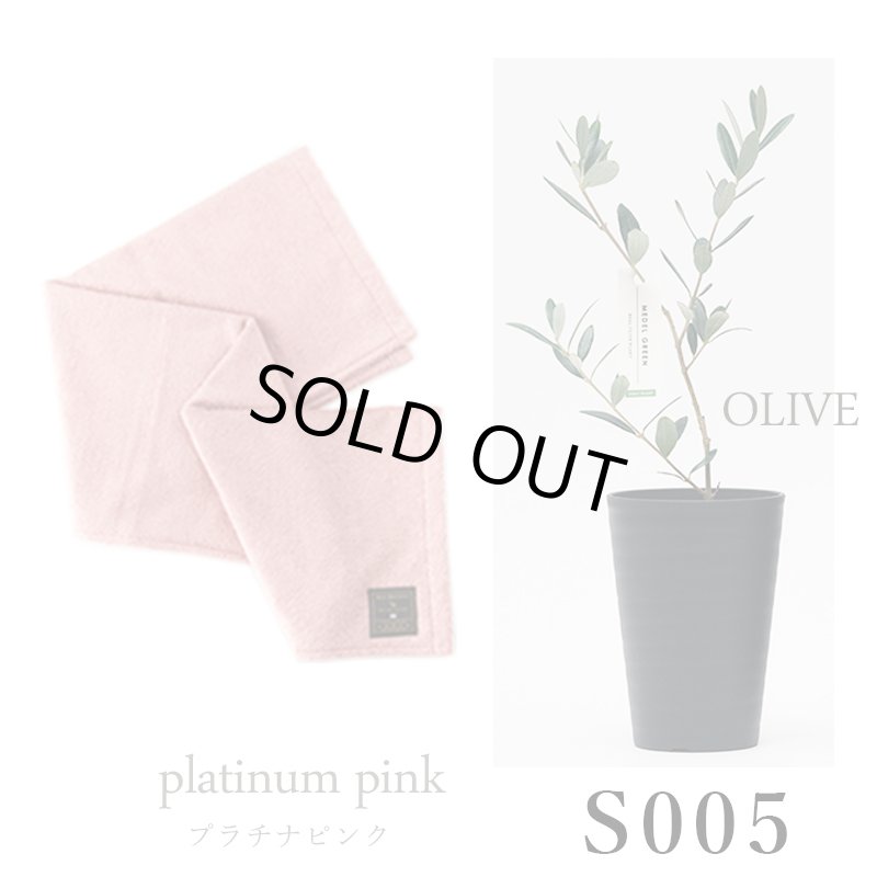 画像30: ◆ 最新作 ◆「 繁栄の象徴シリーズ 」 MAX MATERIA feat MEDEL GREEN　◆バスタオル１P＆オリーブ若木 ◆ デザイン黒樹脂鉢＆ギフトBOX入り　オリーブ：底から葉先まで約25〜40cm前後に剪定済 (30)