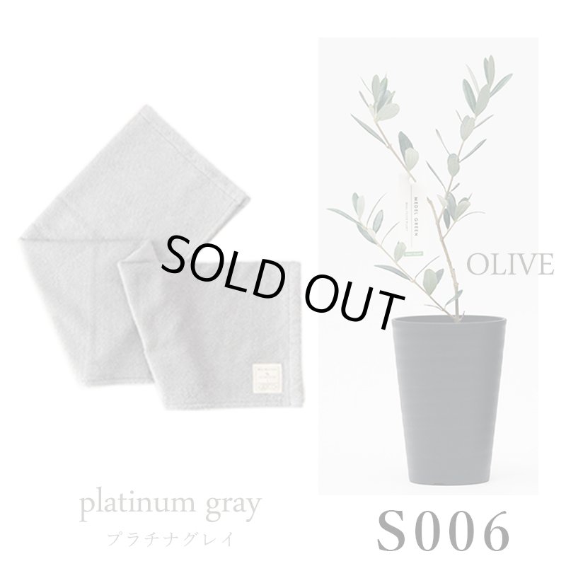 画像31: ◆ 最新作 ◆「 繁栄の象徴シリーズ 」 MAX MATERIA feat MEDEL GREEN　◆バスタオル１P＆オリーブ若木 ◆ デザイン黒樹脂鉢＆ギフトBOX入り　オリーブ：底から葉先まで約25〜40cm前後に剪定済 (31)