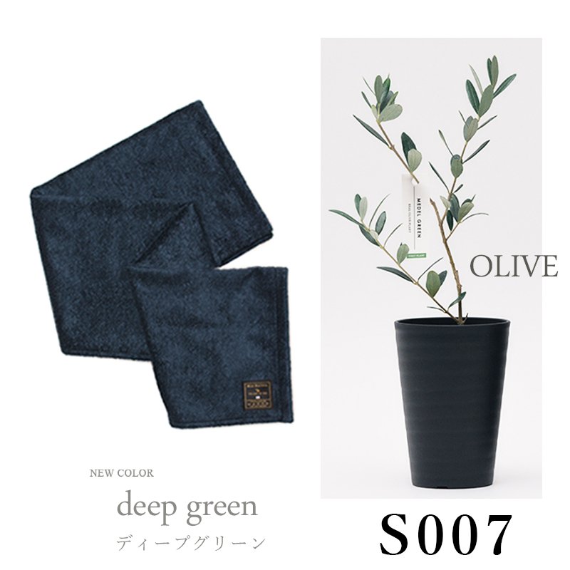 画像32: ◆ 最新作 ◆「 繁栄の象徴シリーズ 」 MAX MATERIA feat MEDEL GREEN　◆バスタオル１P＆オリーブ若木 ◆ デザイン黒樹脂鉢＆ギフトBOX入り　オリーブ：底から葉先まで約25〜40cm前後に剪定済 (32)