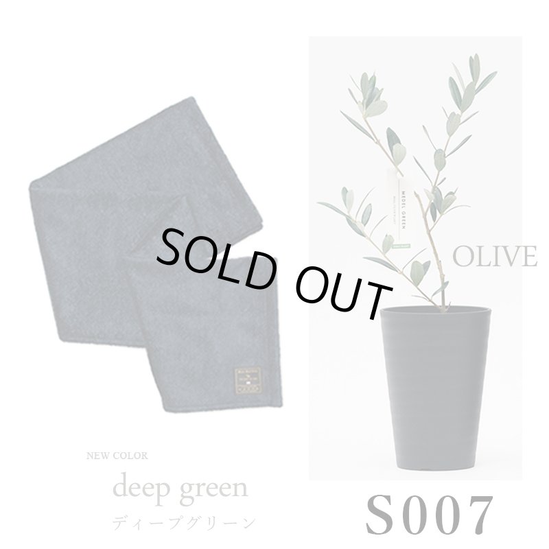 画像32: ◆ 最新作 ◆「 繁栄の象徴シリーズ 」 MAX MATERIA feat MEDEL GREEN　◆バスタオル１P＆オリーブ若木 ◆ デザイン黒樹脂鉢＆ギフトBOX入り　オリーブ：底から葉先まで約25〜40cm前後に剪定済 (32)