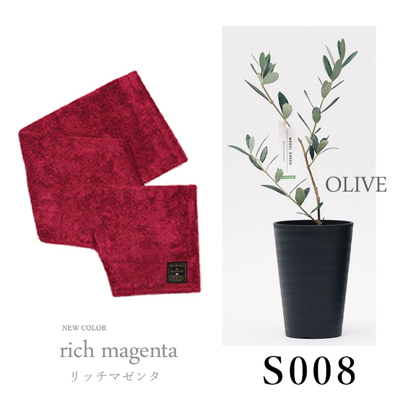 画像33: ◆ 最新作 ◆「 繁栄の象徴シリーズ 」 MAX MATERIA feat MEDEL GREEN　◆バスタオル１P＆オリーブ若木 ◆ デザイン黒樹脂鉢＆ギフトBOX入り　オリーブ：底から葉先まで約25〜40cm前後に剪定済 (33)