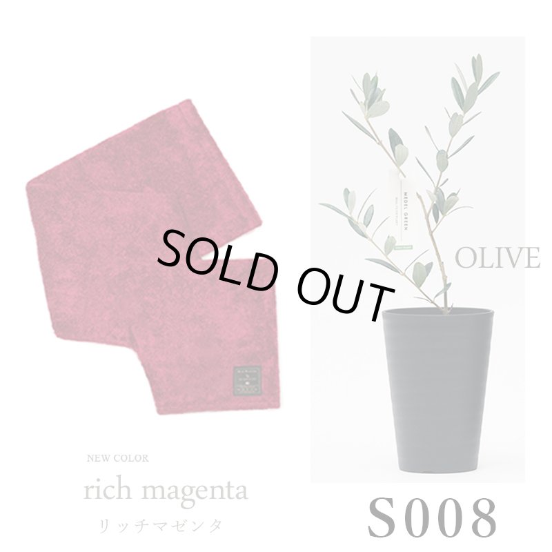 画像33: ◆ 最新作 ◆「 繁栄の象徴シリーズ 」 MAX MATERIA feat MEDEL GREEN　◆バスタオル１P＆オリーブ若木 ◆ デザイン黒樹脂鉢＆ギフトBOX入り　オリーブ：底から葉先まで約25〜40cm前後に剪定済 (33)