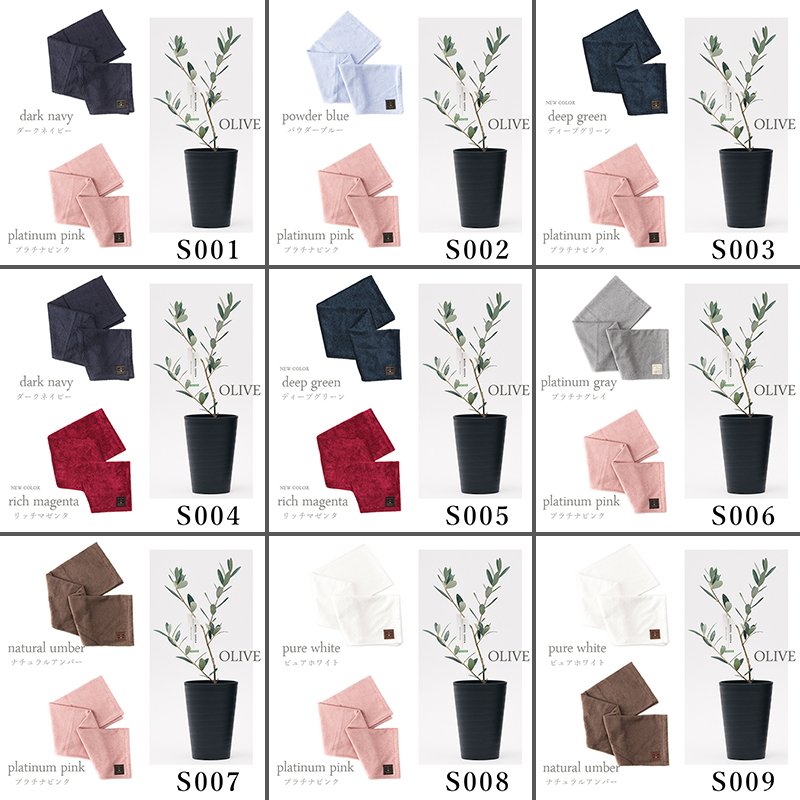 画像9: ◆ 最新作 ◆「 繁栄の象徴シリーズ 」 MAX MATERIA feat MEDEL GREEN　◆バス２P＆オリーブ若木 ◆ デザイン黒樹脂鉢＆ギフトBOX入り　オリーブ：底から葉先まで約25〜40cm前後に剪定済 (9)