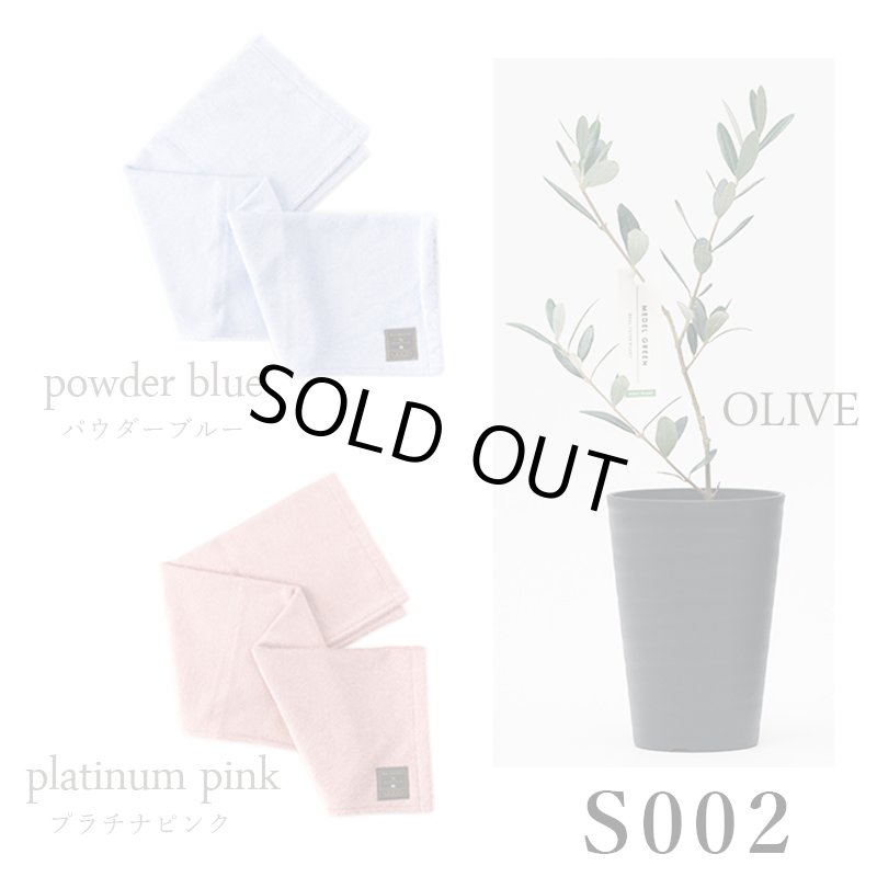 画像32: ◆ 最新作 ◆「 繁栄の象徴シリーズ 」 MAX MATERIA feat MEDEL GREEN　◆バス２P＆オリーブ若木 ◆ デザイン黒樹脂鉢＆ギフトBOX入り　オリーブ：底から葉先まで約25〜40cm前後に剪定済 (32)