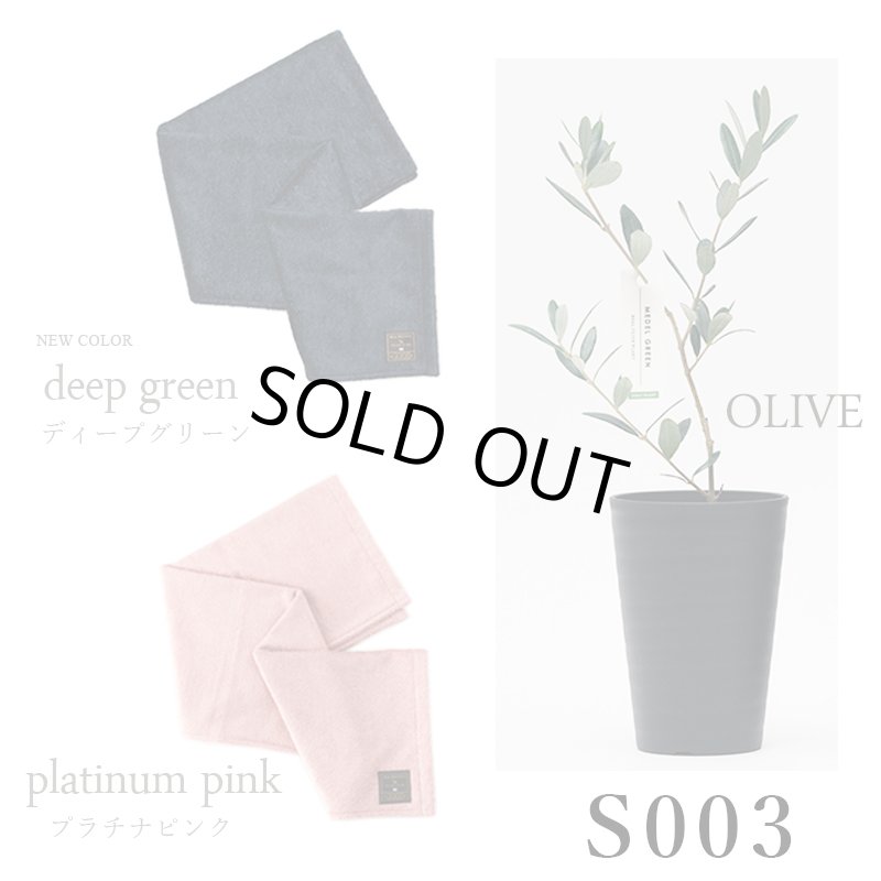 画像33: ◆ 最新作 ◆「 繁栄の象徴シリーズ 」 MAX MATERIA feat MEDEL GREEN　◆バス２P＆オリーブ若木 ◆ デザイン黒樹脂鉢＆ギフトBOX入り　オリーブ：底から葉先まで約25〜40cm前後に剪定済 (33)