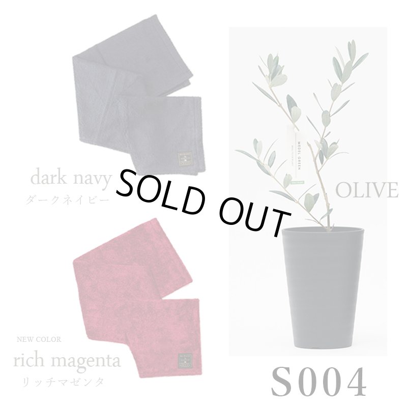 画像34: ◆ 最新作 ◆「 繁栄の象徴シリーズ 」 MAX MATERIA feat MEDEL GREEN　◆バス２P＆オリーブ若木 ◆ デザイン黒樹脂鉢＆ギフトBOX入り　オリーブ：底から葉先まで約25〜40cm前後に剪定済 (34)