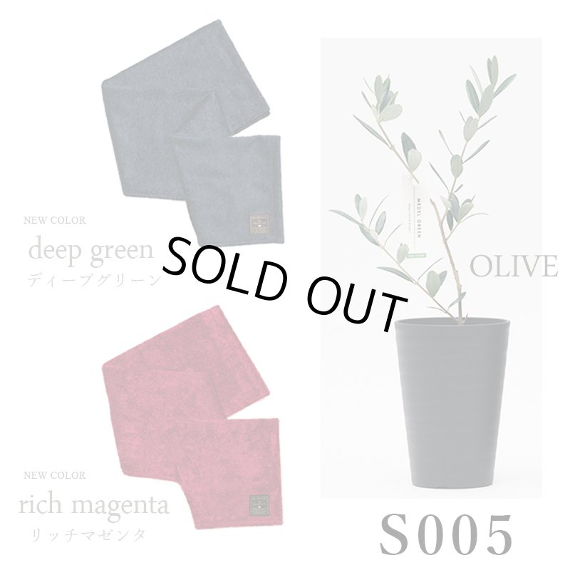 画像35: ◆ 最新作 ◆「 繁栄の象徴シリーズ 」 MAX MATERIA feat MEDEL GREEN　◆バス２P＆オリーブ若木 ◆ デザイン黒樹脂鉢＆ギフトBOX入り　オリーブ：底から葉先まで約25〜40cm前後に剪定済 (35)