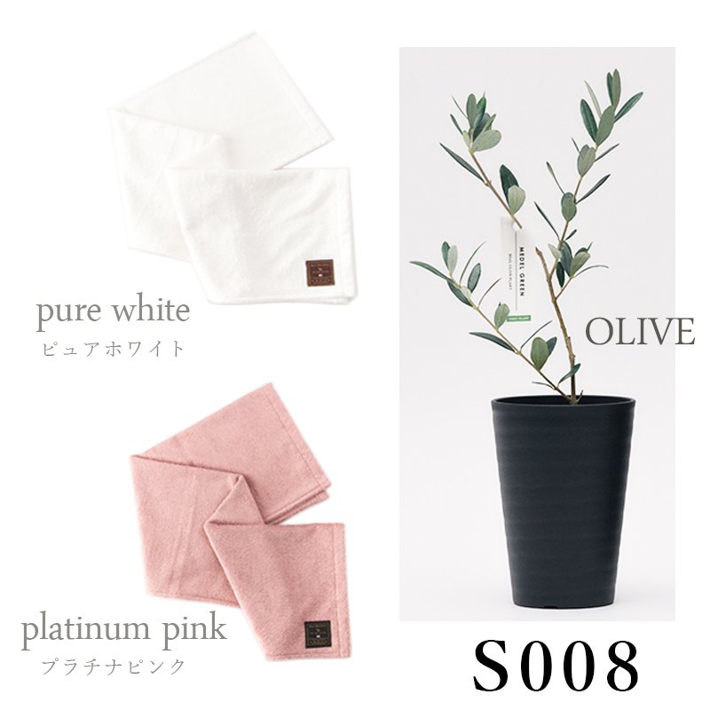 画像38: ◆ 最新作 ◆「 繁栄の象徴シリーズ 」 MAX MATERIA feat MEDEL GREEN　◆バス２P＆オリーブ若木 ◆ デザイン黒樹脂鉢＆ギフトBOX入り　オリーブ：底から葉先まで約25〜40cm前後に剪定済 (38)