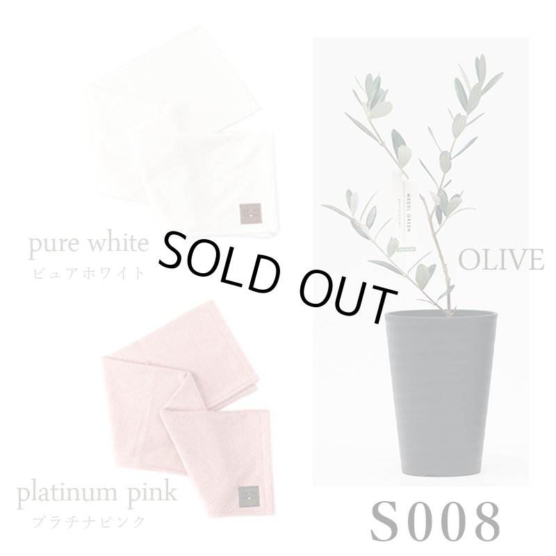 画像38: ◆ 最新作 ◆「 繁栄の象徴シリーズ 」 MAX MATERIA feat MEDEL GREEN　◆バス２P＆オリーブ若木 ◆ デザイン黒樹脂鉢＆ギフトBOX入り　オリーブ：底から葉先まで約25〜40cm前後に剪定済 (38)