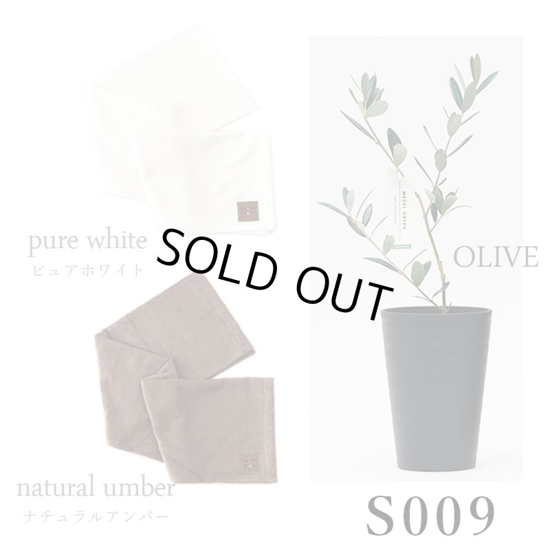 画像39: ◆ 最新作 ◆「 繁栄の象徴シリーズ 」 MAX MATERIA feat MEDEL GREEN　◆バス２P＆オリーブ若木 ◆ デザイン黒樹脂鉢＆ギフトBOX入り　オリーブ：底から葉先まで約25〜40cm前後に剪定済 (39)