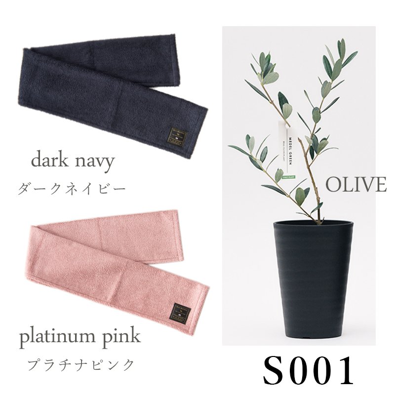 画像19: ◆ 最新作 ◆「 繁栄の象徴シリーズ 」 MAX MATERIA feat MEDEL GREEN ◆フェイス2P&オリーブ若木 ◆ デザイン黒樹脂鉢&ギフトBOX入り オリーブ:底から葉先まで約25〜40cm前後に剪定済 (19)