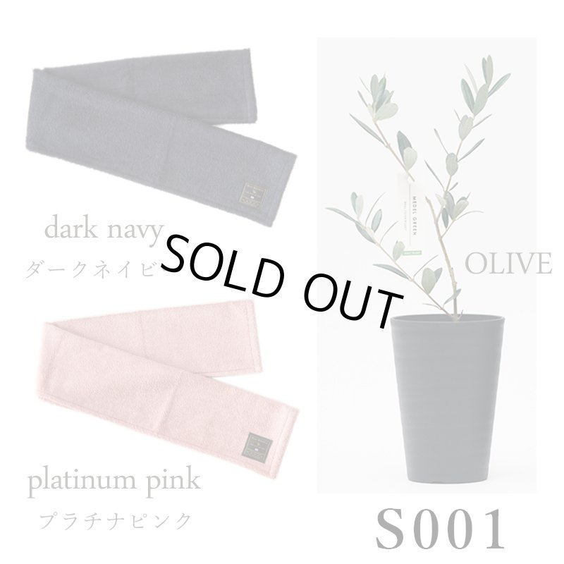 画像19: ◆ 最新作 ◆「 繁栄の象徴シリーズ 」 MAX MATERIA feat MEDEL GREEN　◆フェイス２P＆オリーブ若木 ◆ デザイン黒樹脂鉢＆ギフトBOX入り　オリーブ：底から葉先まで約25〜40cm前後に剪定済 (19)