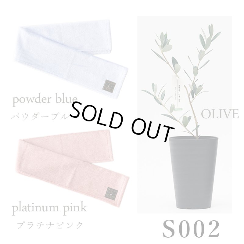 画像20: ◆ 最新作 ◆「 繁栄の象徴シリーズ 」 MAX MATERIA feat MEDEL GREEN　◆フェイス２P＆オリーブ若木 ◆ デザイン黒樹脂鉢＆ギフトBOX入り　オリーブ：底から葉先まで約25〜40cm前後に剪定済 (20)