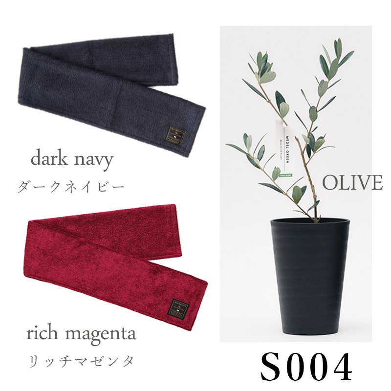 画像22: ◆ 最新作 ◆「 繁栄の象徴シリーズ 」 MAX MATERIA feat MEDEL GREEN ◆フェイス2P&オリーブ若木 ◆ デザイン黒樹脂鉢&ギフトBOX入り オリーブ:底から葉先まで約25〜40cm前後に剪定済 (22)