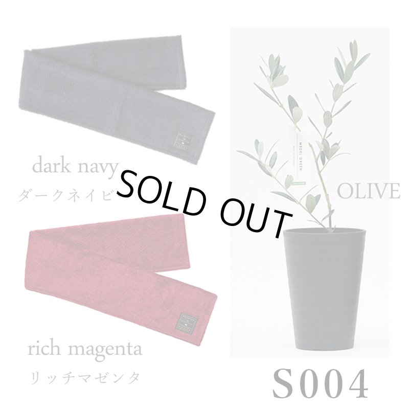 画像22: ◆ 最新作 ◆「 繁栄の象徴シリーズ 」 MAX MATERIA feat MEDEL GREEN　◆フェイス２P＆オリーブ若木 ◆ デザイン黒樹脂鉢＆ギフトBOX入り　オリーブ：底から葉先まで約25〜40cm前後に剪定済 (22)