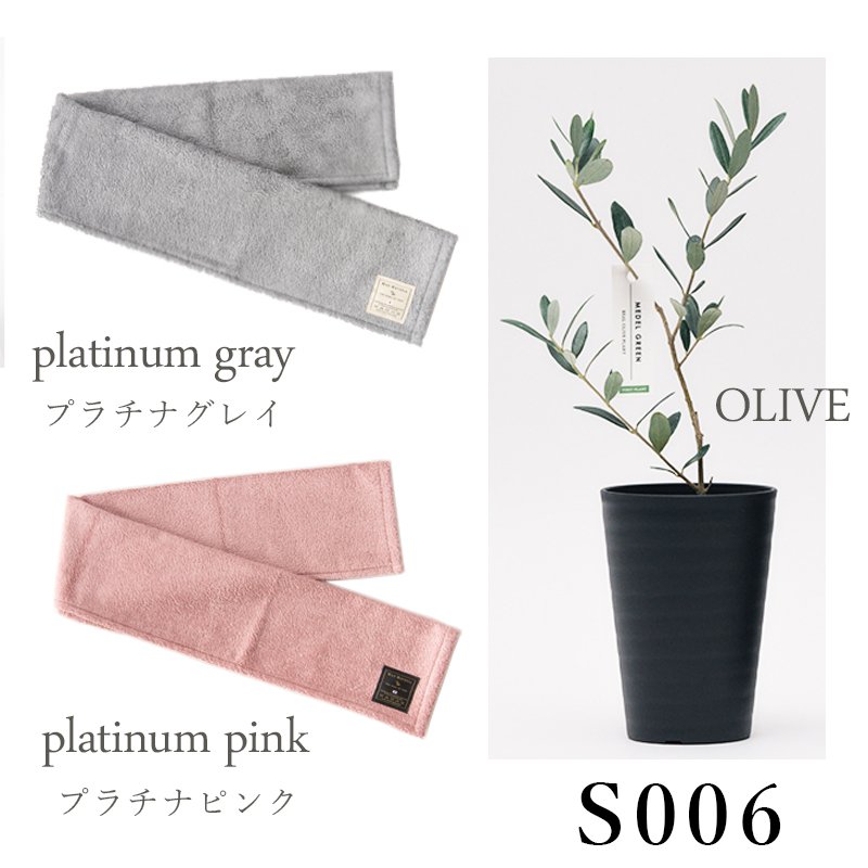 画像24: ◆ 最新作 ◆「 繁栄の象徴シリーズ 」 MAX MATERIA feat MEDEL GREEN ◆フェイス2P&オリーブ若木 ◆ デザイン黒樹脂鉢&ギフトBOX入り オリーブ:底から葉先まで約25〜40cm前後に剪定済 (24)