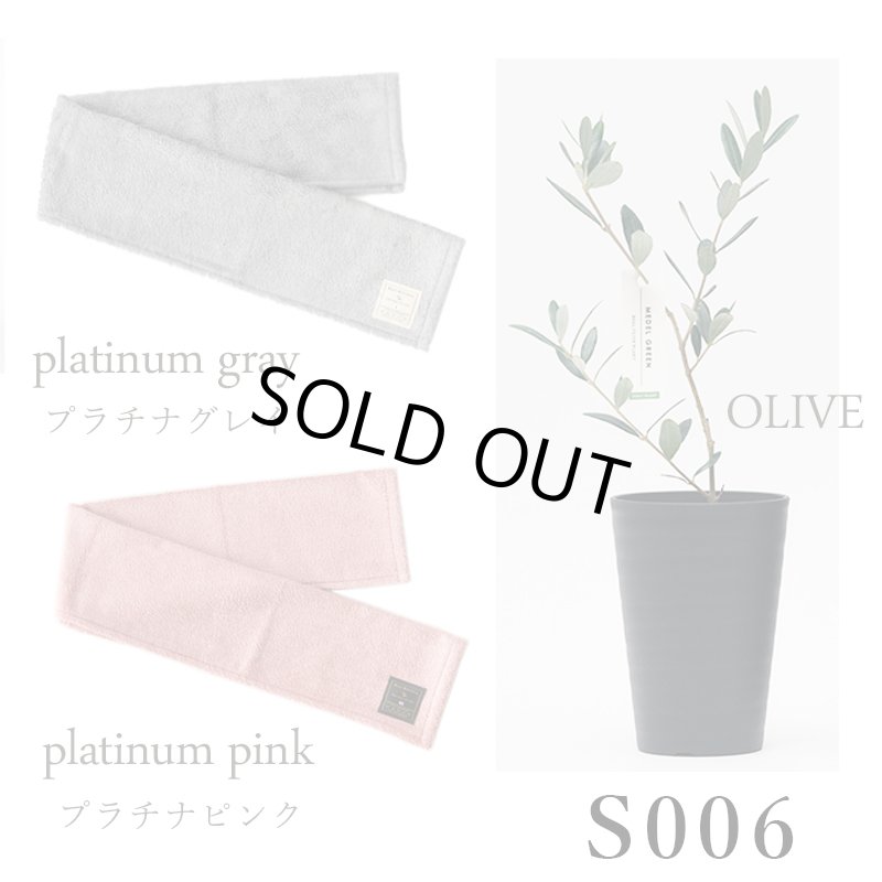 画像24: ◆ 最新作 ◆「 繁栄の象徴シリーズ 」 MAX MATERIA feat MEDEL GREEN　◆フェイス２P＆オリーブ若木 ◆ デザイン黒樹脂鉢＆ギフトBOX入り　オリーブ：底から葉先まで約25〜40cm前後に剪定済 (24)