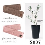 画像25: ◆ 最新作 ◆「 繁栄の象徴シリーズ 」 MAX MATERIA feat MEDEL GREEN　◆フェイス２P＆オリーブ若木 ◆ デザイン黒樹脂鉢＆ギフトBOX入り　オリーブ：底から葉先まで約25〜40cm前後に剪定済 (25)
