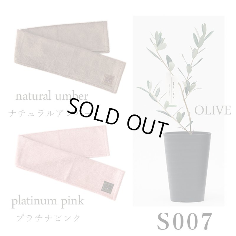 画像25: ◆ 最新作 ◆「 繁栄の象徴シリーズ 」 MAX MATERIA feat MEDEL GREEN　◆フェイス２P＆オリーブ若木 ◆ デザイン黒樹脂鉢＆ギフトBOX入り　オリーブ：底から葉先まで約25〜40cm前後に剪定済 (25)