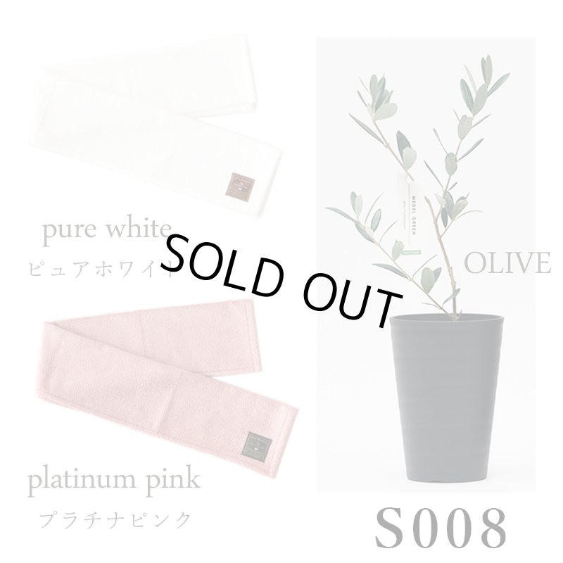 画像26: ◆ 最新作 ◆「 繁栄の象徴シリーズ 」 MAX MATERIA feat MEDEL GREEN　◆フェイス２P＆オリーブ若木 ◆ デザイン黒樹脂鉢＆ギフトBOX入り　オリーブ：底から葉先まで約25〜40cm前後に剪定済 (26)