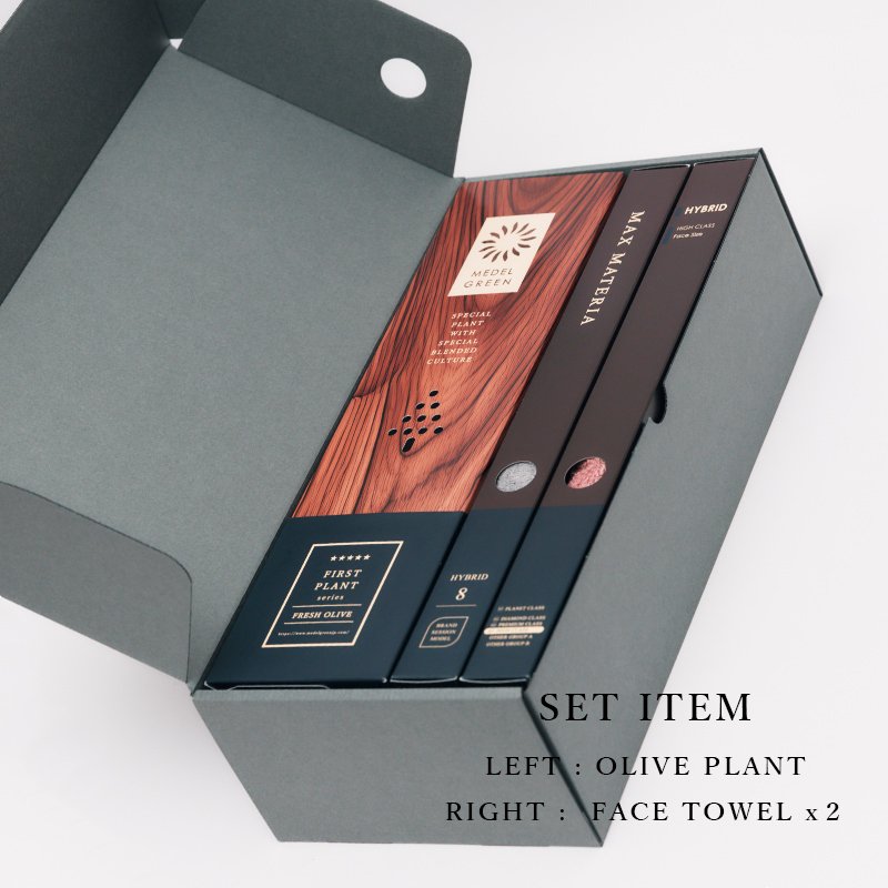 画像6: ◆ 最新作 ◆「 繁栄の象徴シリーズ 」 MAX MATERIA feat MEDEL GREEN ◆フェイス2P&オリーブ若木 ◆ デザイン黒樹脂鉢&ギフトBOX入り オリーブ:底から葉先まで約25〜40cm前後に剪定済 (6)