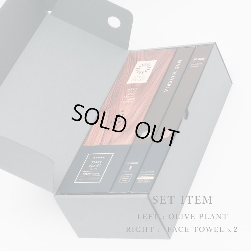 画像6: ◆ 最新作 ◆「 繁栄の象徴シリーズ 」 MAX MATERIA feat MEDEL GREEN　◆フェイス２P＆オリーブ若木 ◆ デザイン黒樹脂鉢＆ギフトBOX入り　オリーブ：底から葉先まで約25〜40cm前後に剪定済 (6)