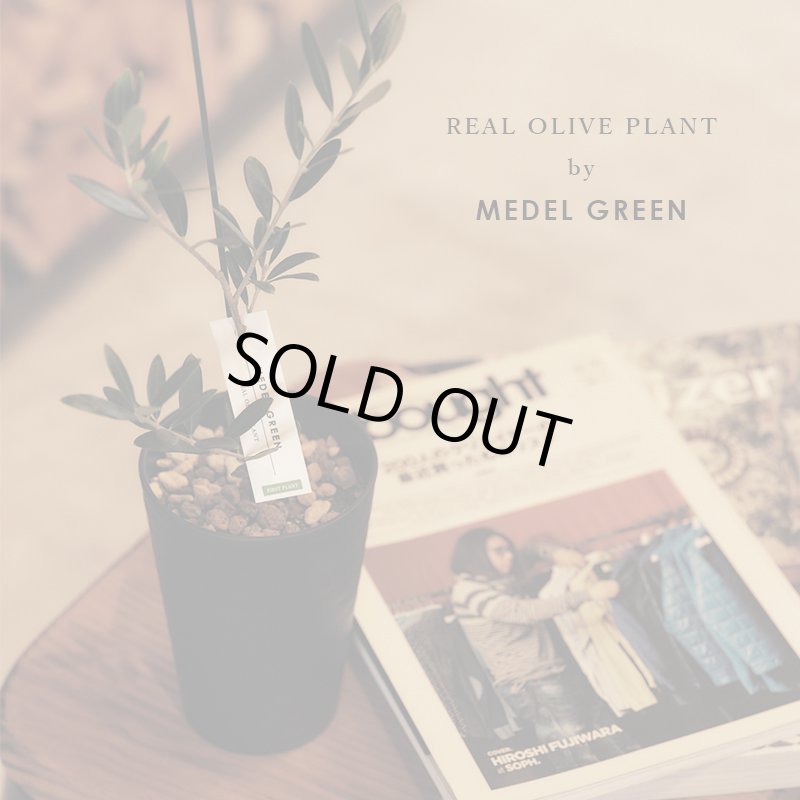 画像23: ◆ 最新作 ◆「 繁栄の象徴シリーズ 」 MAX MATERIA feat MEDEL GREEN　◆バス２P＆オリーブ若木 ◆ デザイン黒樹脂鉢＆ギフトBOX入り　オリーブ：底から葉先まで約25〜40cm前後に剪定済 (23)