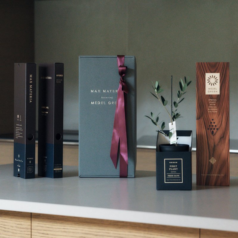 画像41: ◆ 最新作 ◆「 繁栄の象徴シリーズ 」 MAX MATERIA feat MEDEL GREEN ◆フェイス2P&オリーブ若木 ◆ デザイン黒樹脂鉢&ギフトBOX入り オリーブ:底から葉先まで約25〜40cm前後に剪定済 (41)