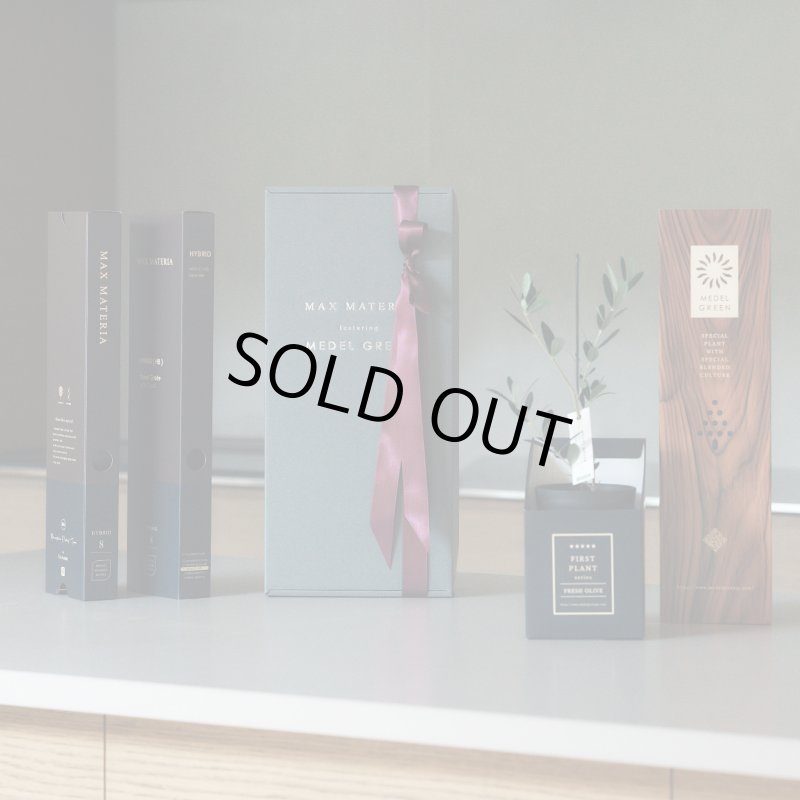 画像41: ◆ 最新作 ◆「 繁栄の象徴シリーズ 」 MAX MATERIA feat MEDEL GREEN　◆フェイス２P＆オリーブ若木 ◆ デザイン黒樹脂鉢＆ギフトBOX入り　オリーブ：底から葉先まで約25〜40cm前後に剪定済 (41)