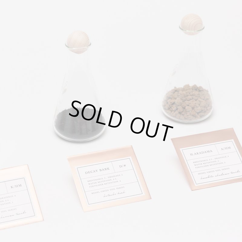 画像13: MEDEL GREEN　◆ オリーブ苗木　透明プラ樹脂鉢　ご自宅用 ◆底から葉先まで約25〜40cm前後に剪定してお届け (13)