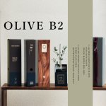 画像1: 【完売】次回再販予定2025年3月28日　◆ 最新作 ◆「 繁栄の象徴シリーズ 」 MAX MATERIA feat MEDEL GREEN　◆バス２P＆オリーブ若木 ◆ デザイン黒樹脂鉢＆ギフトBOX入り　オリーブ：底から葉先まで約25〜40cm前後に剪定済 (1)