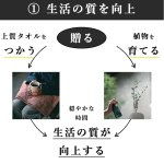 画像12: ◆ 最新作 ◆「 繁栄の象徴シリーズ 」 MAX MATERIA feat MEDEL GREEN　◆バスタオル１P＆オリーブ若木 ◆ デザイン黒樹脂鉢＆ギフトBOX入り　オリーブ：底から葉先まで約25〜40cm前後に剪定済 (12)