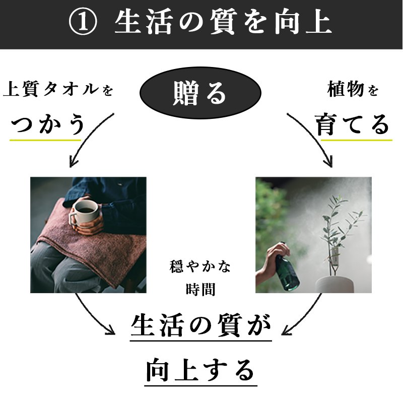 画像13: ◆ 最新作 ◆「 繁栄の象徴シリーズ 」 MAX MATERIA feat MEDEL GREEN ◆フェイス2P&オリーブ若木 ◆ デザイン黒樹脂鉢&ギフトBOX入り オリーブ:底から葉先まで約25〜40cm前後に剪定済 (13)