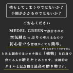 画像11: ◆ 最新作 ◆「 繁栄の象徴シリーズ 」 MAX MATERIA feat MEDEL GREEN　◆バスタオル１P＆オリーブ若木 ◆ デザイン黒樹脂鉢＆ギフトBOX入り　オリーブ：底から葉先まで約25〜40cm前後に剪定済 (11)