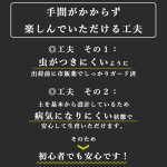 画像17: ◆ 最新作 ◆「 繁栄の象徴シリーズ 」 MAX MATERIA feat MEDEL GREEN　◆バスタオル１P＆オリーブ若木 ◆ デザイン黒樹脂鉢＆ギフトBOX入り　オリーブ：底から葉先まで約25〜40cm前後に剪定済 (17)