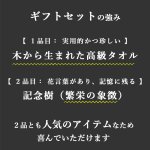 画像6: ◆ 最新作 ◆「 繁栄の象徴シリーズ 」 MAX MATERIA feat MEDEL GREEN　◆バスタオル１P＆オリーブ若木 ◆ デザイン黒樹脂鉢＆ギフトBOX入り　オリーブ：底から葉先まで約25〜40cm前後に剪定済 (6)
