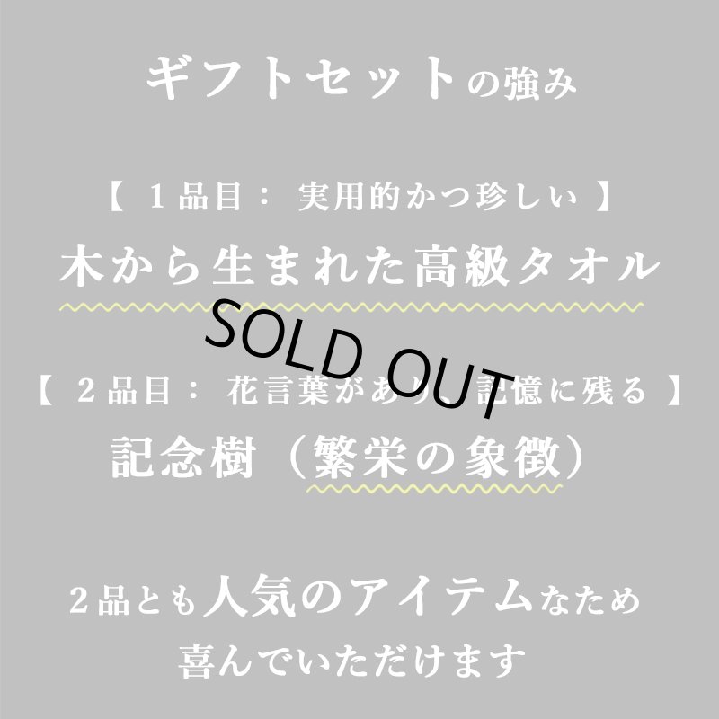 画像7: ◆ 最新作 ◆「 繁栄の象徴シリーズ 」 MAX MATERIA feat MEDEL GREEN　◆バス２P＆オリーブ若木 ◆ デザイン黒樹脂鉢＆ギフトBOX入り　オリーブ：底から葉先まで約25〜40cm前後に剪定済 (7)