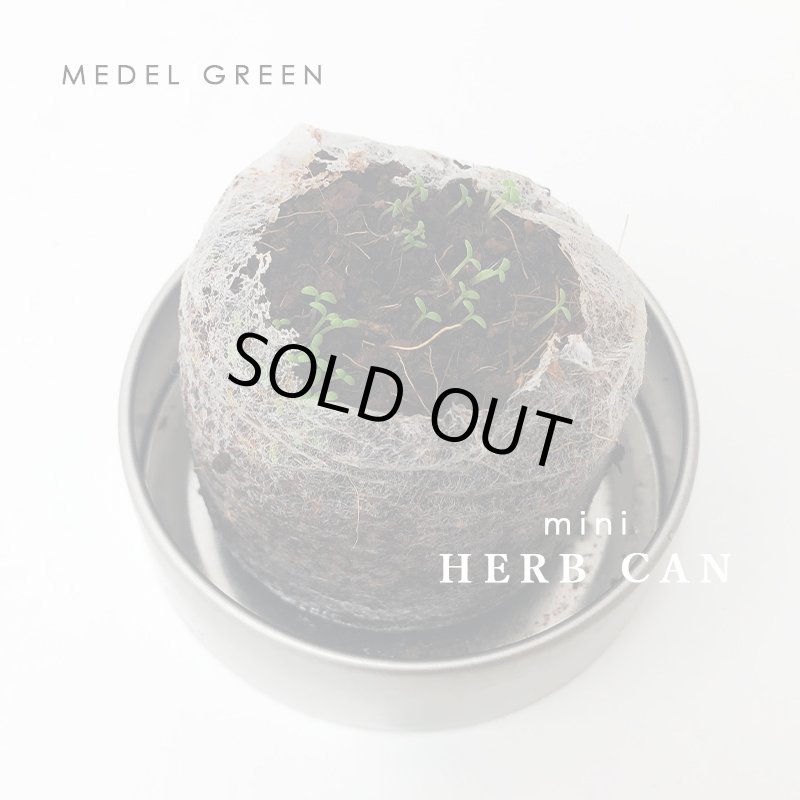 画像4: MEDEL GREEN　◆ 水だけで楽しめる　ハーブ缶 ◆　２個セット (4)