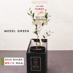 画像39: ◆ 最新作 ◆「 繁栄の象徴シリーズ 」 MAX MATERIA feat MEDEL GREEN　◆バスタオル１P＆オリーブ若木 ◆ デザイン黒樹脂鉢＆ギフトBOX入り　オリーブ：底から葉先まで約25〜40cm前後に剪定済 (39)