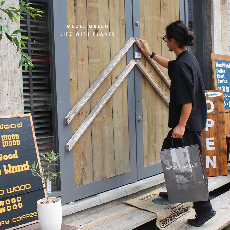 画像27: MEDEL GREEN　◆ オリーブ苗木　陶器鉢  ギフトラッピング仕様 ◆  サイズ：底から葉先まで約35〜45cm前後に剪定してお届け (27)