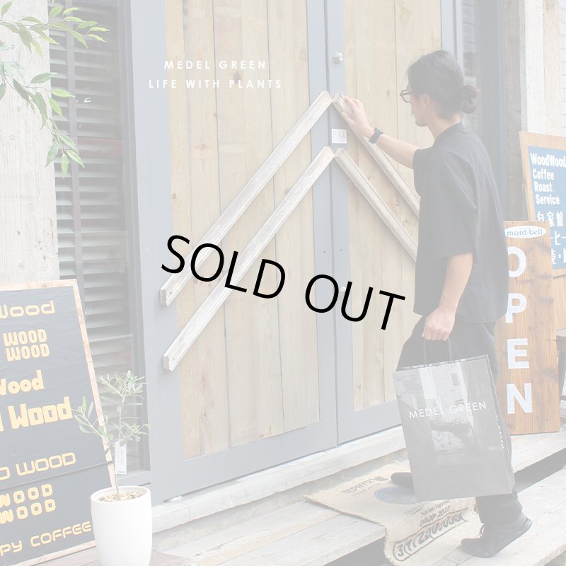 画像9: MEDEL GREEN　◆ オリーブ苗木　黒プラ樹脂鉢　専用ギフトBOX仕様  ◆ BOX約高：40cm　オリーブ：底から葉先まで約25〜40cm前後に剪定済 (9)